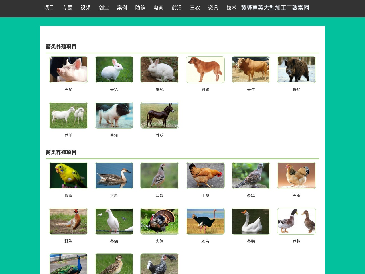 247techsupportnumber.com screenshot alt-text