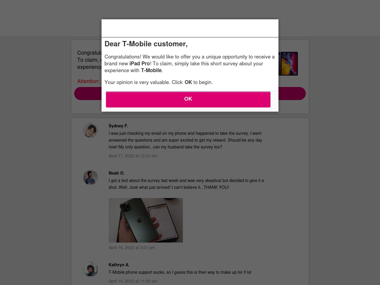 4zoom2.com screenshot alt-text