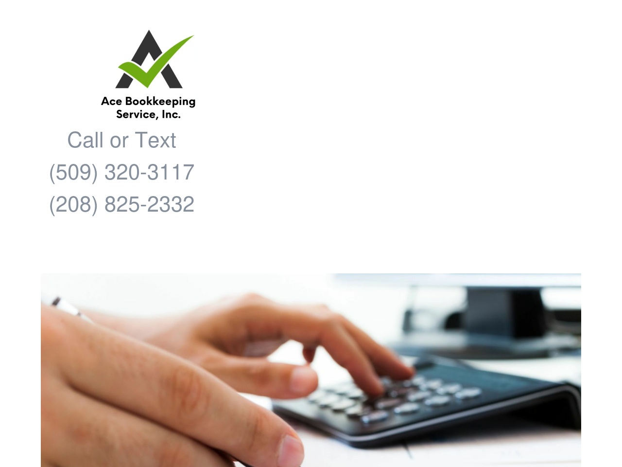 acebookkeepingservice.com screenshot alt-text