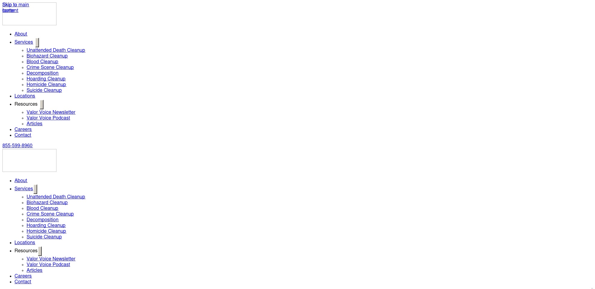 advalortechnicalcleaning.com screenshot alt-text