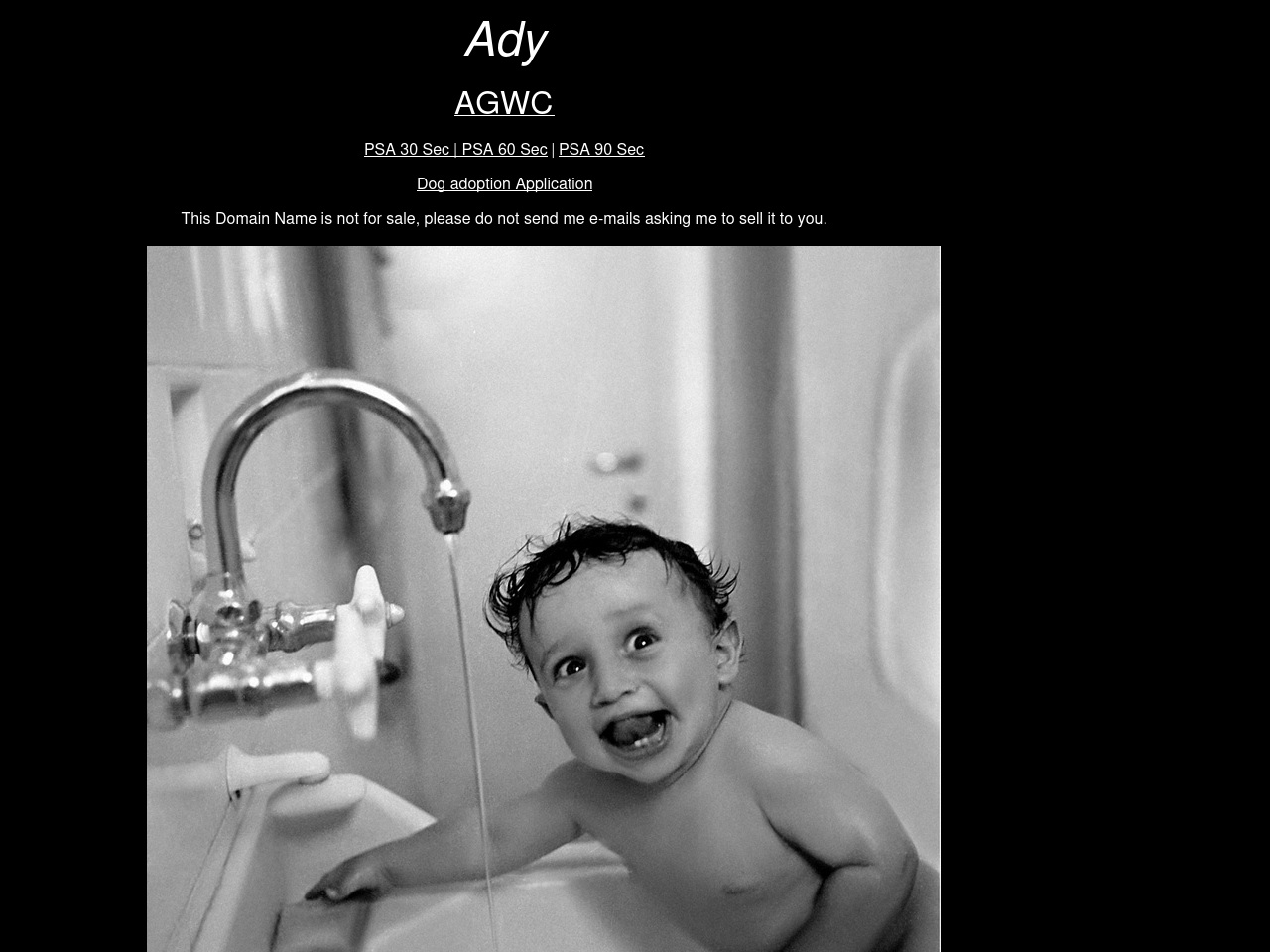 ady.com screenshot alt-text