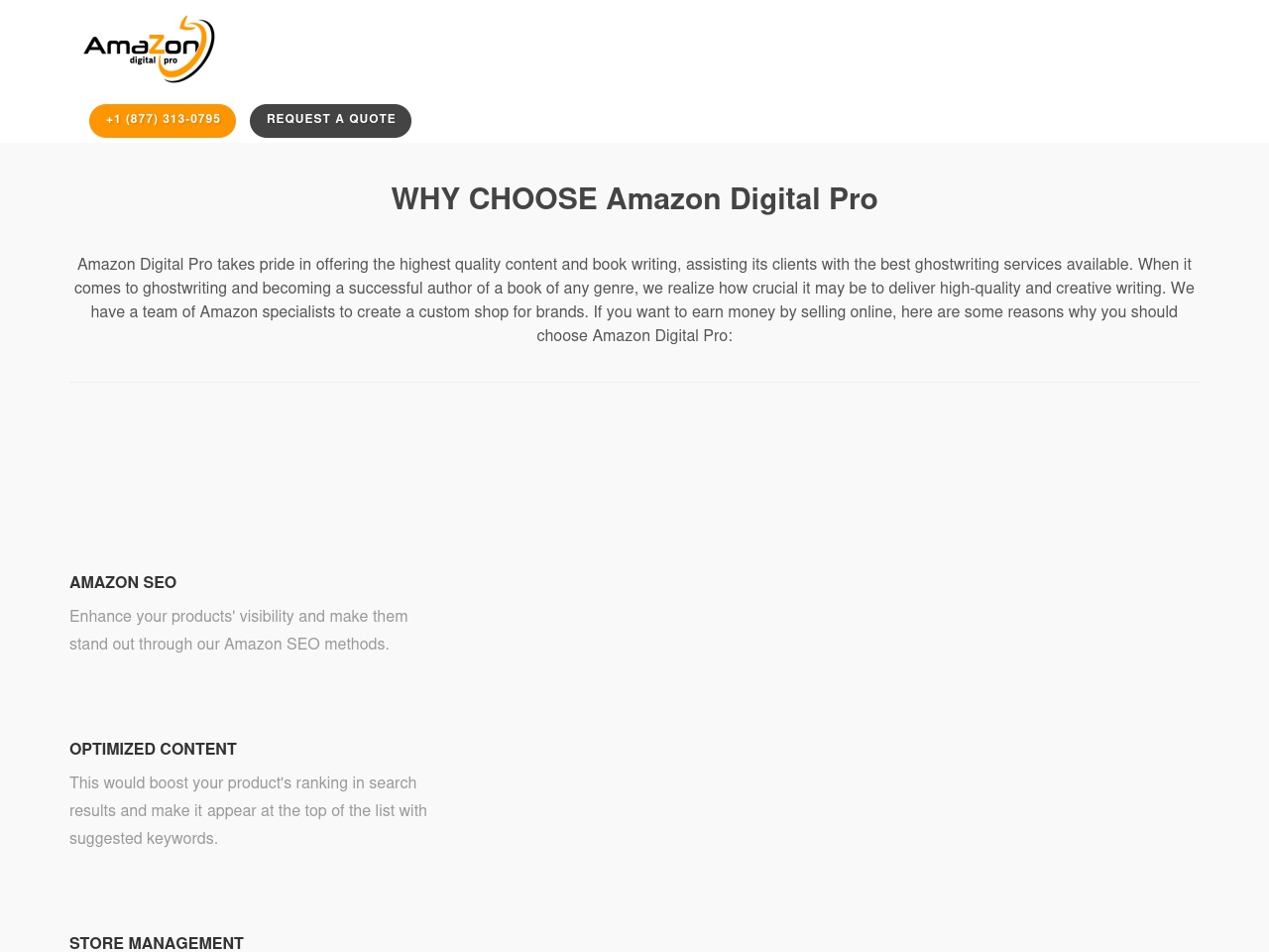 amazondigitalpro.com screenshot alt-text