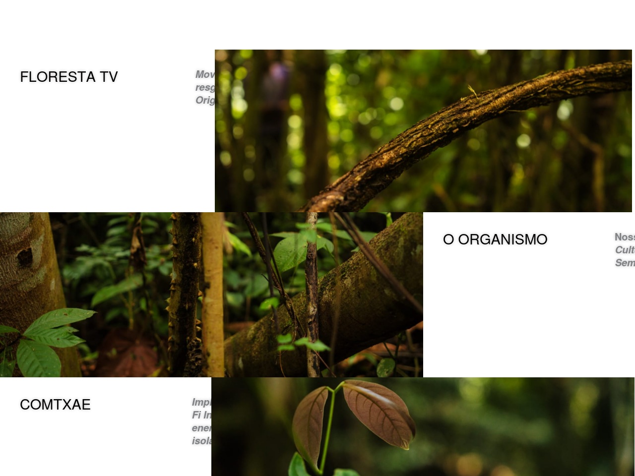 amazonia.space screenshot alt-text