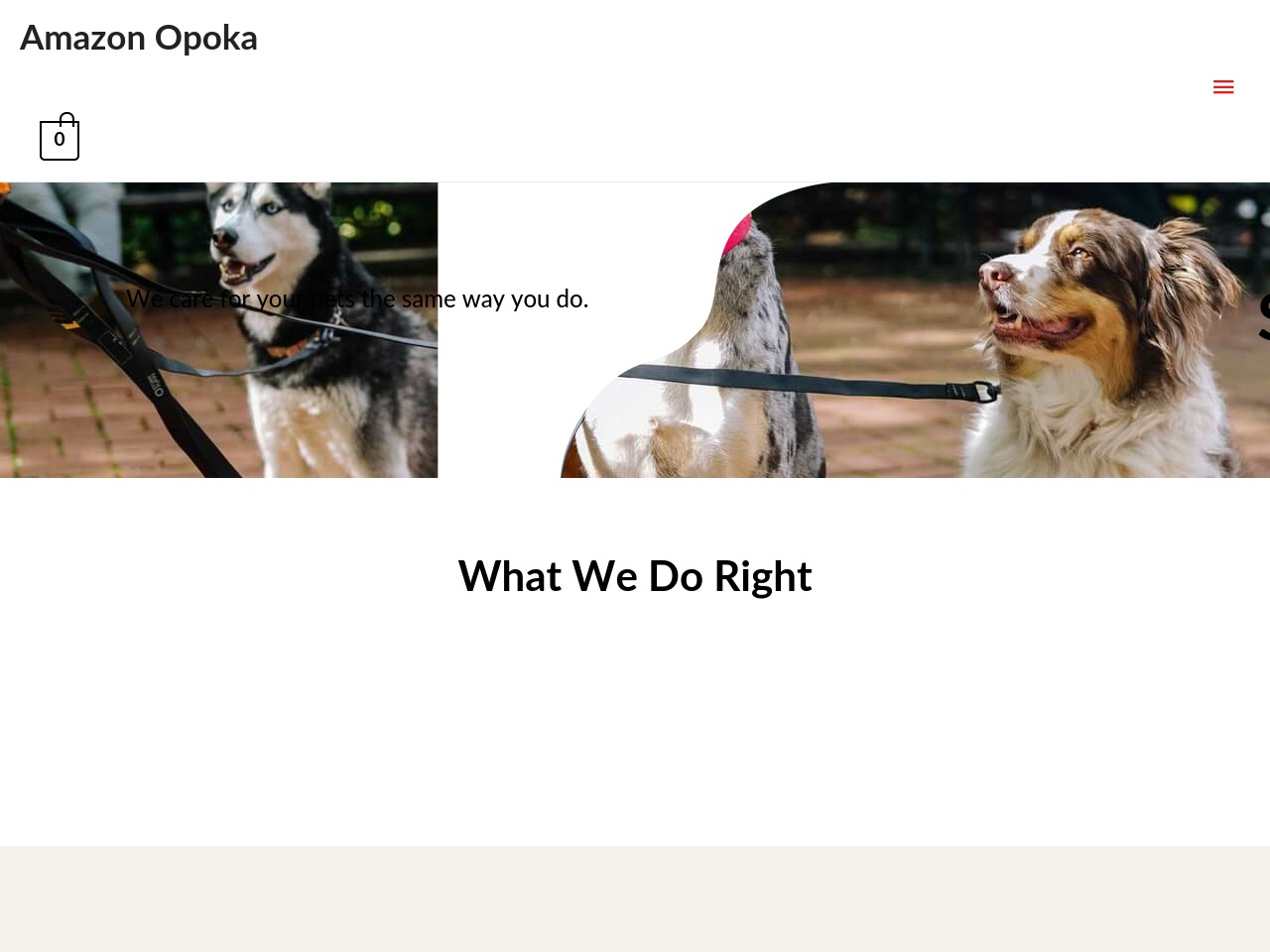 amazonopoka.com screenshot alt-text