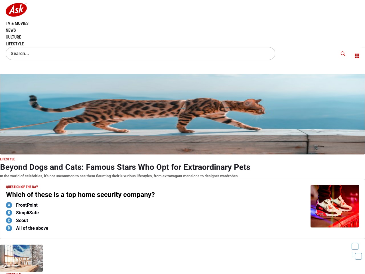 ask.com screenshot alt-text