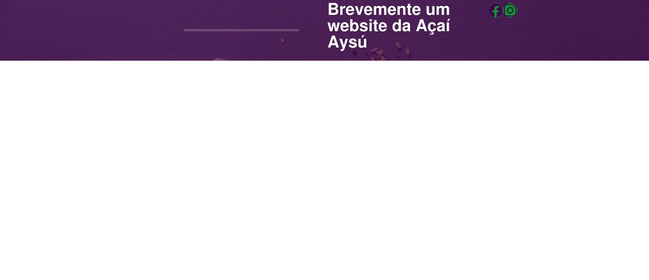 aysuamazonia.com screenshot alt-text