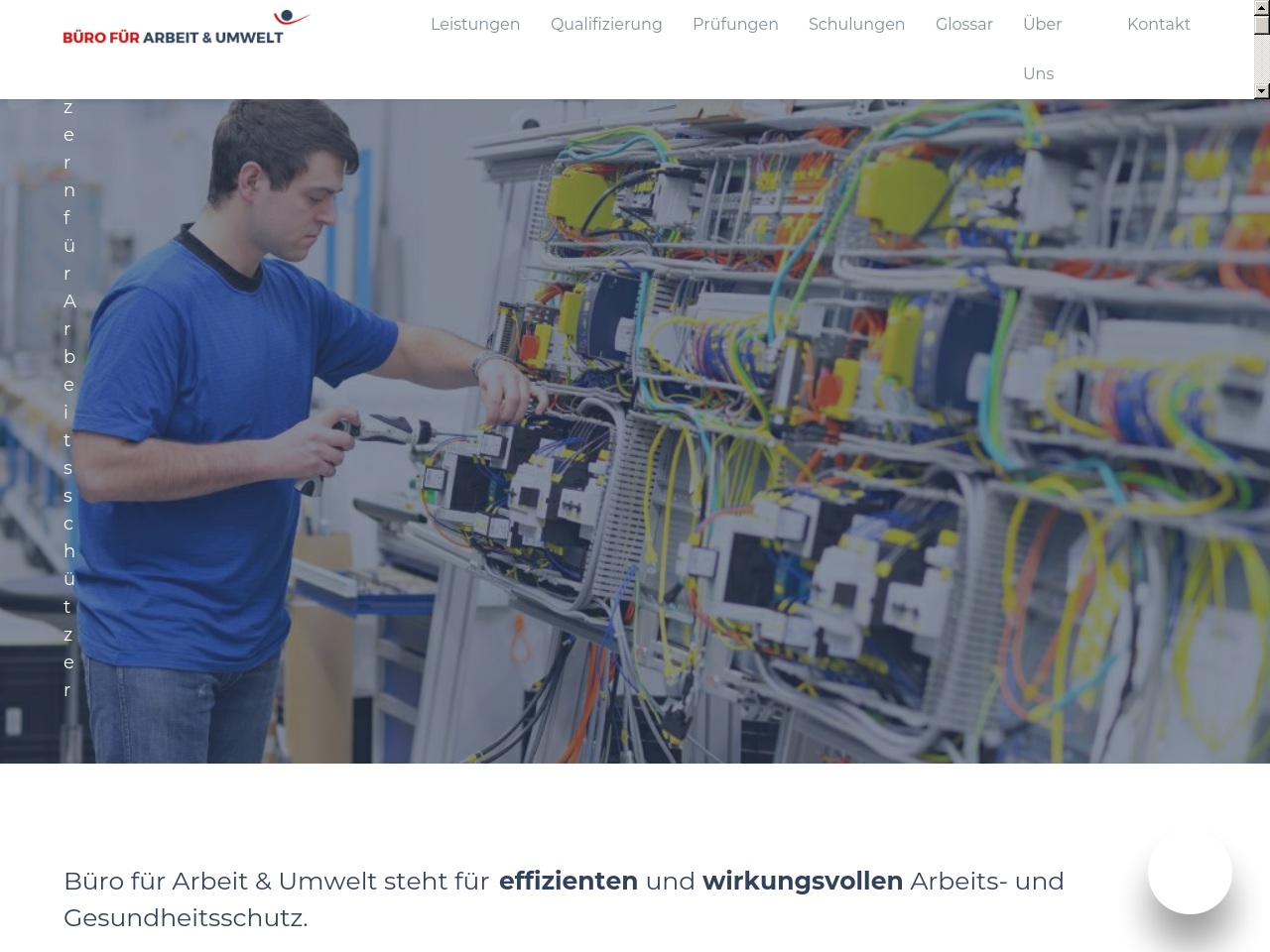 bau-support.com screenshot alt-text