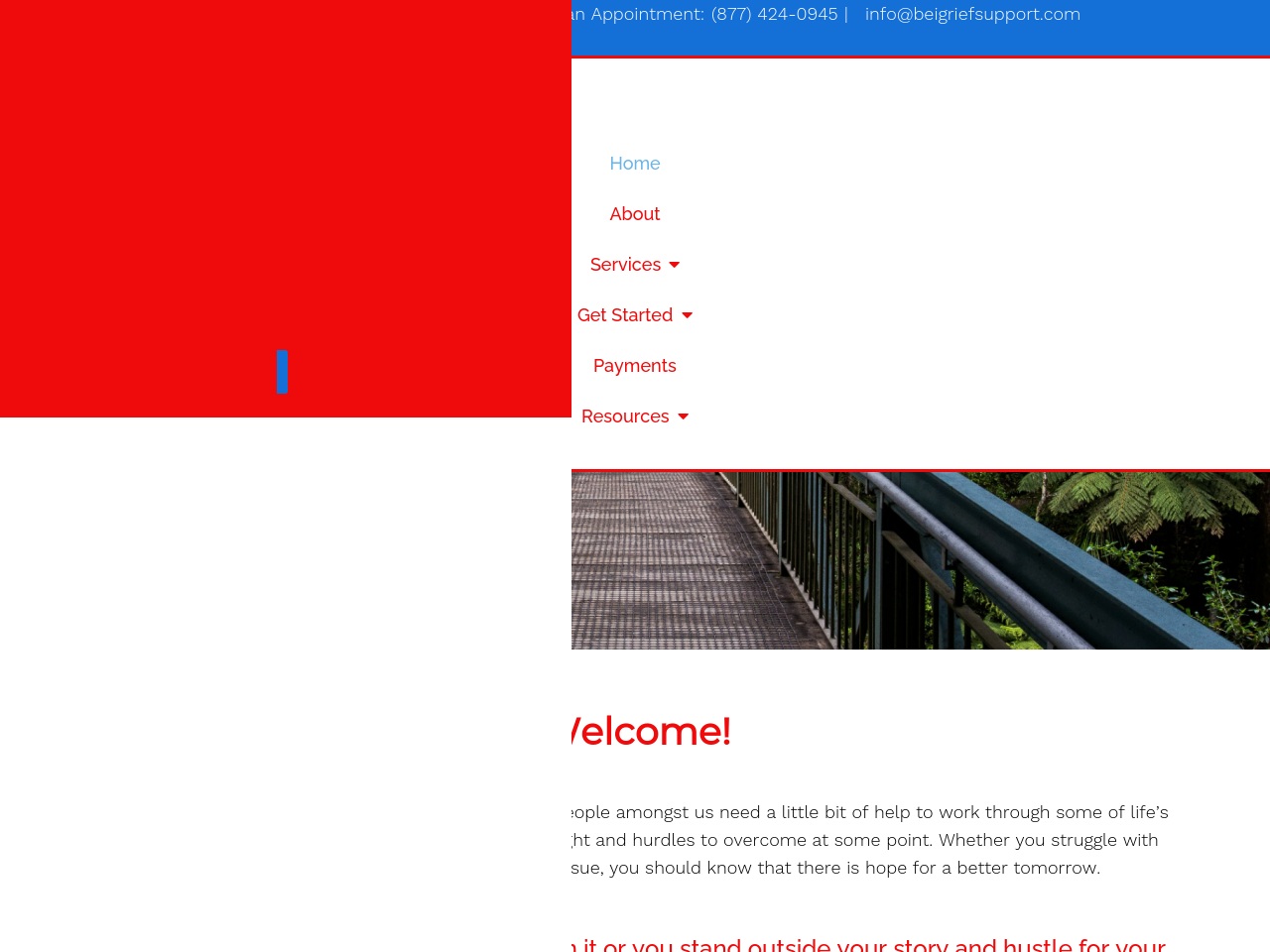 beigriefsupport.com screenshot alt-text