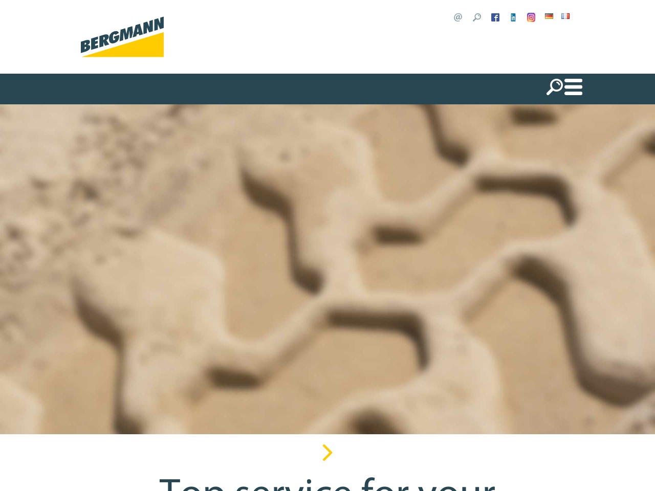 bergmann-support.com screenshot alt-text