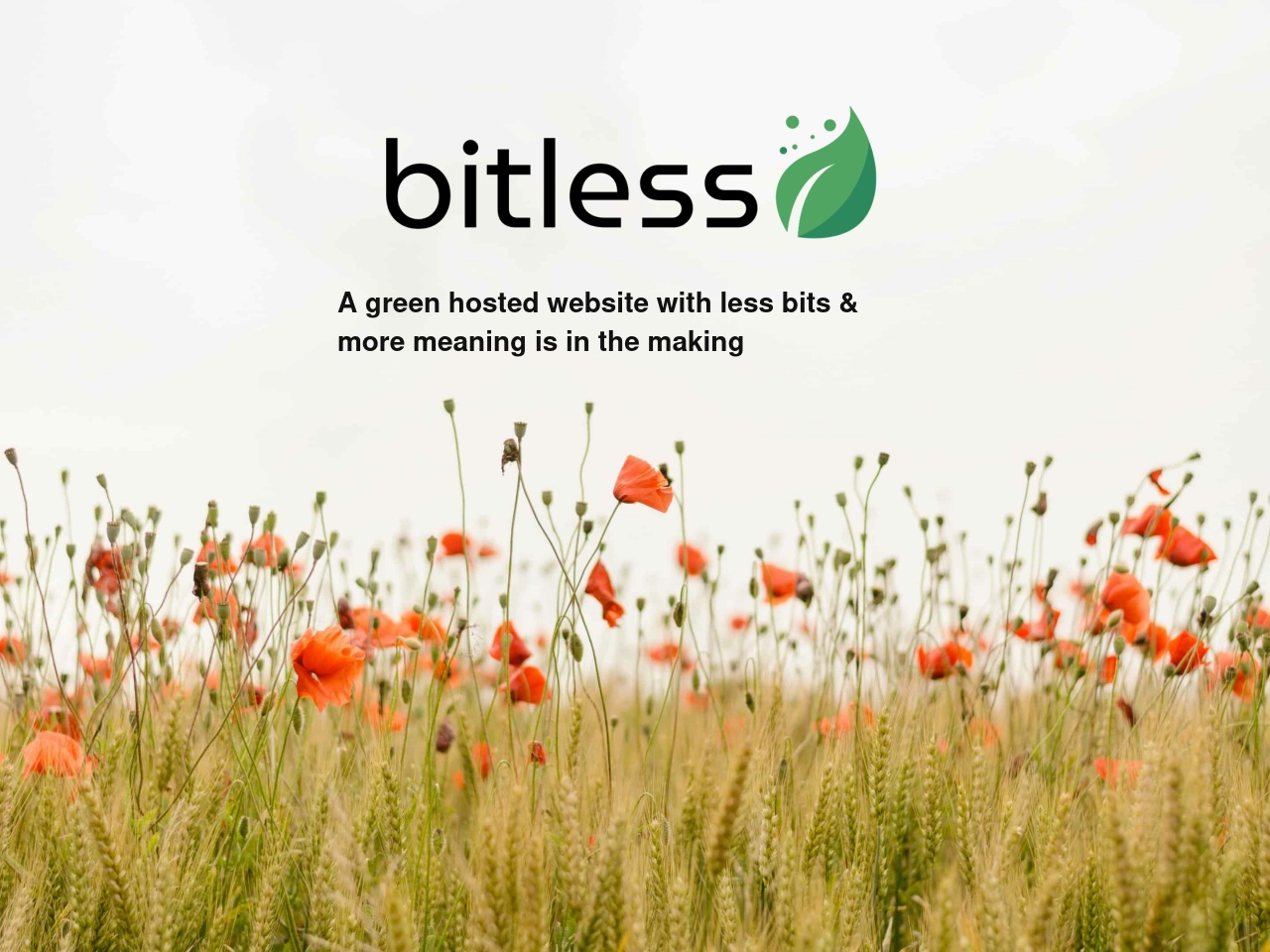 betasupportlearning.com screenshot alt-text