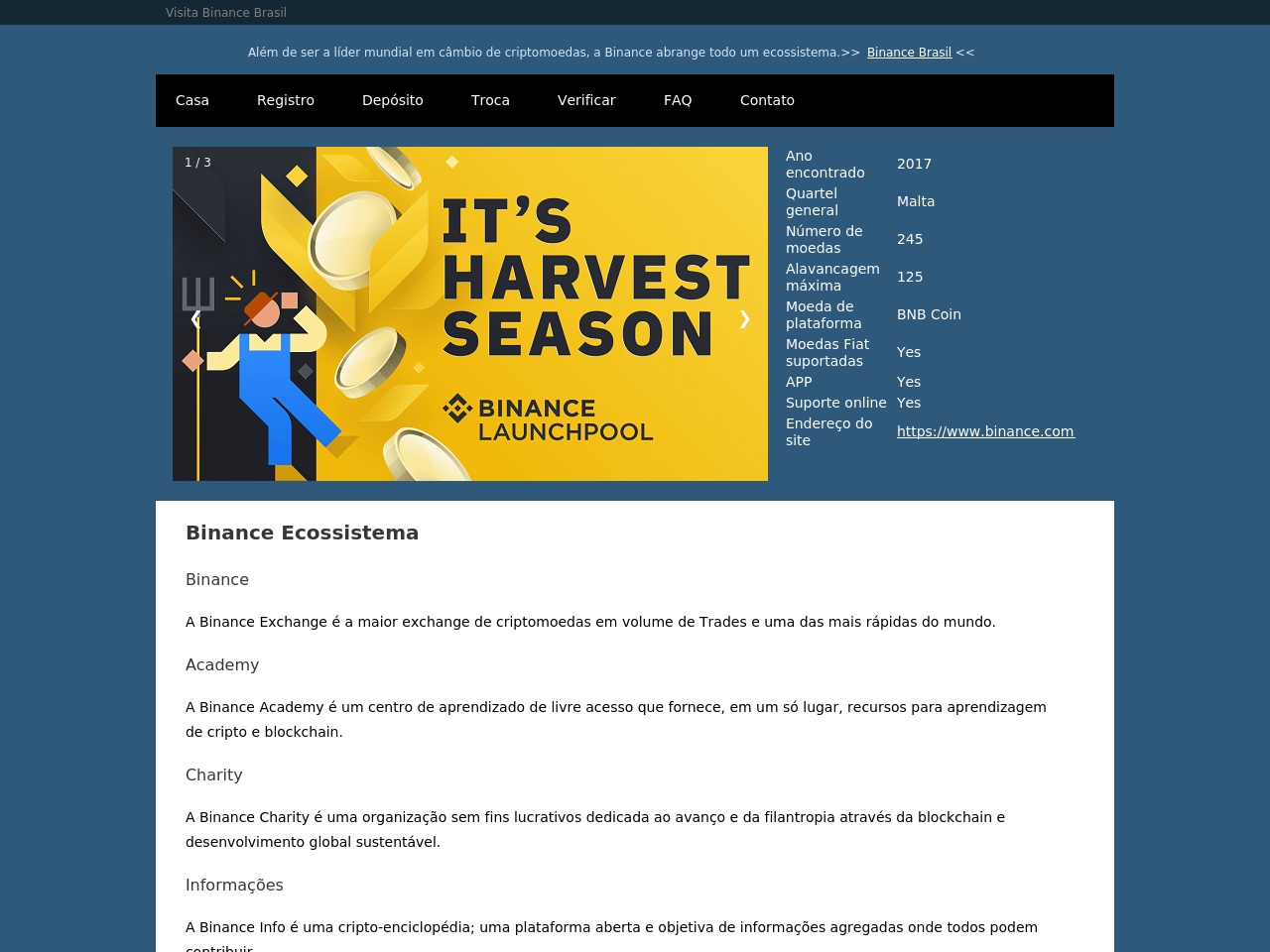 binance-brasil.com screenshot alt-text