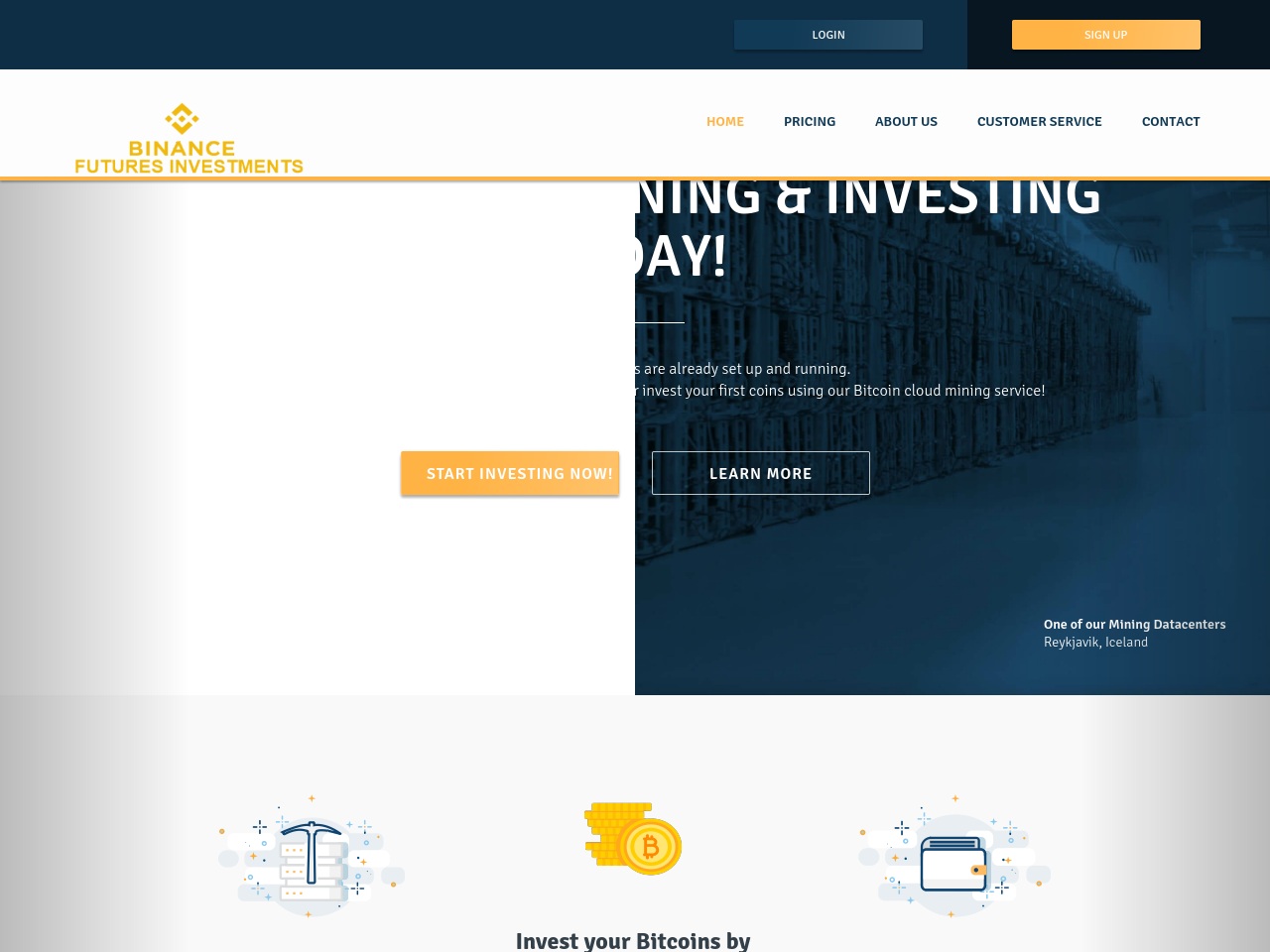 binancefuturesinvestments.com screenshot alt-text
