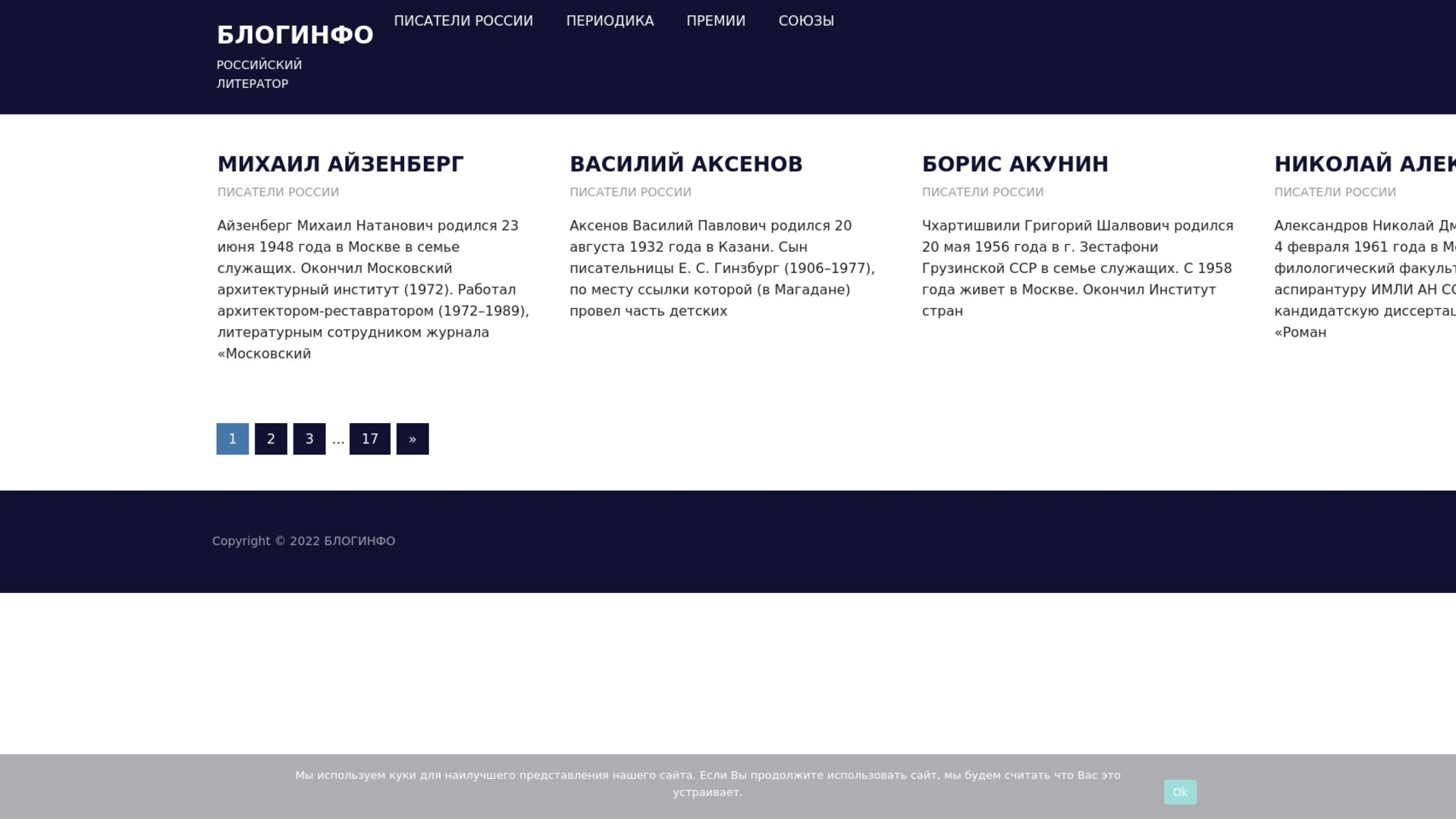 bloginfo.website screenshot alt-text