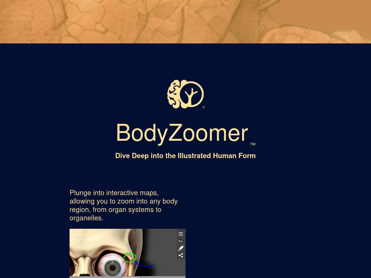 bodyzoomer.com screenshot alt-text