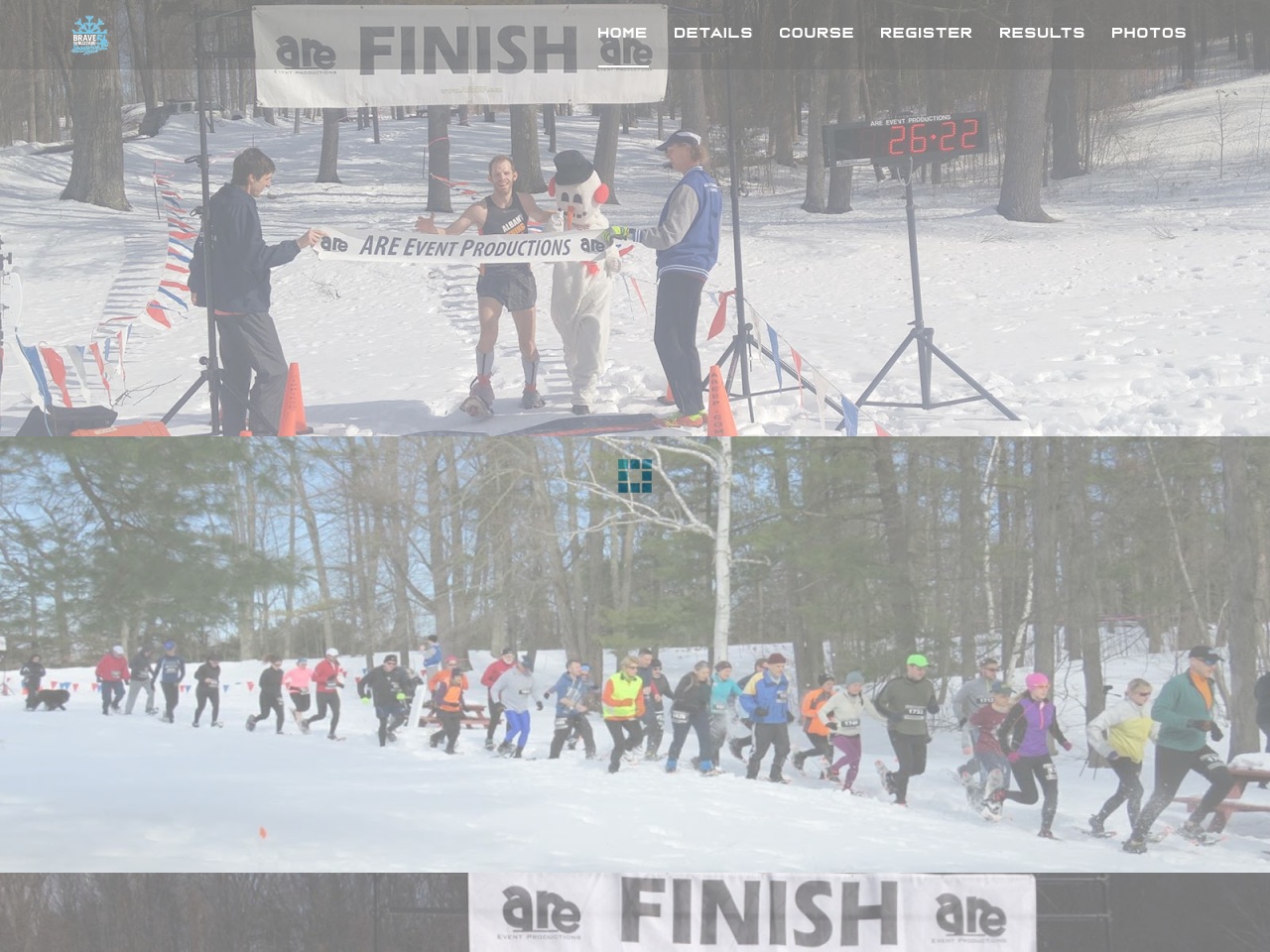 bravetheblizzard.com screenshot alt-text