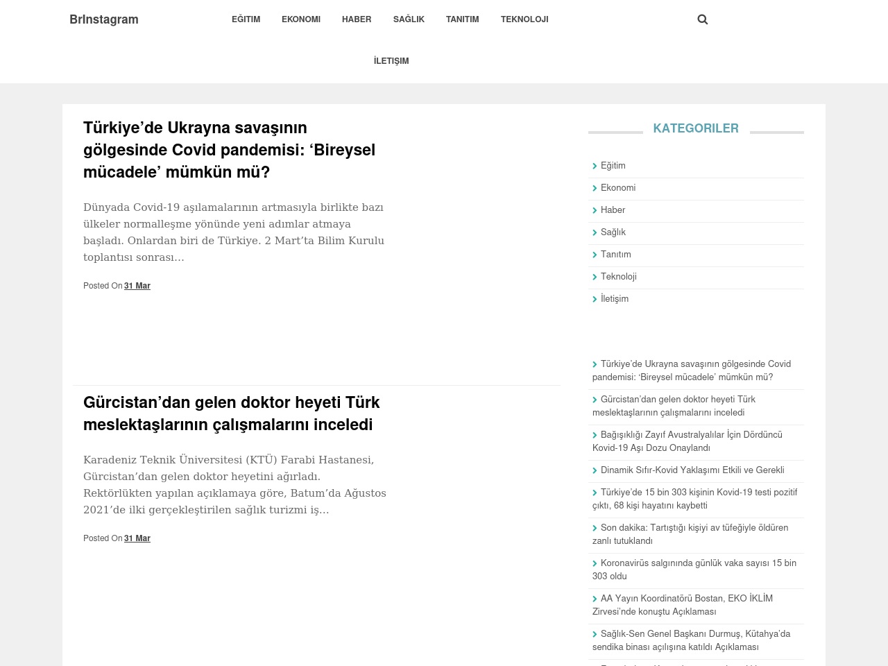 brinstagram.com screenshot alt-text