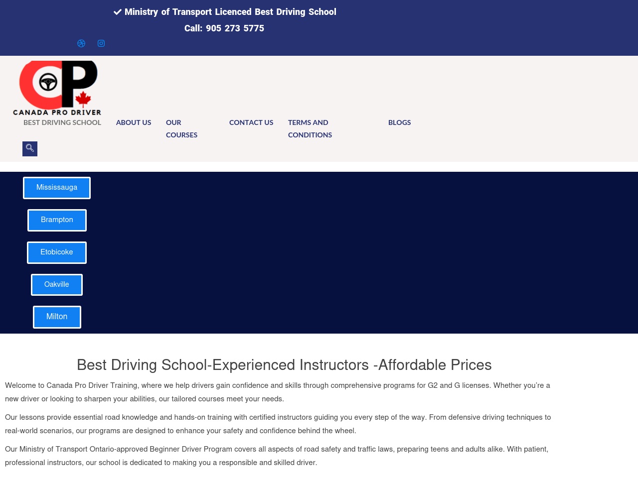 canadaprodriver.com screenshot alt-text