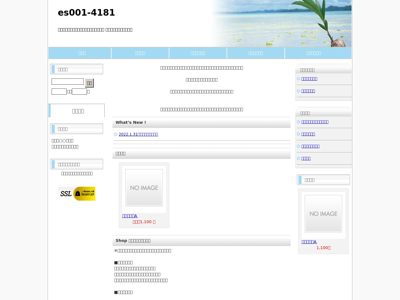 cart-support01.biz screenshot alt-text