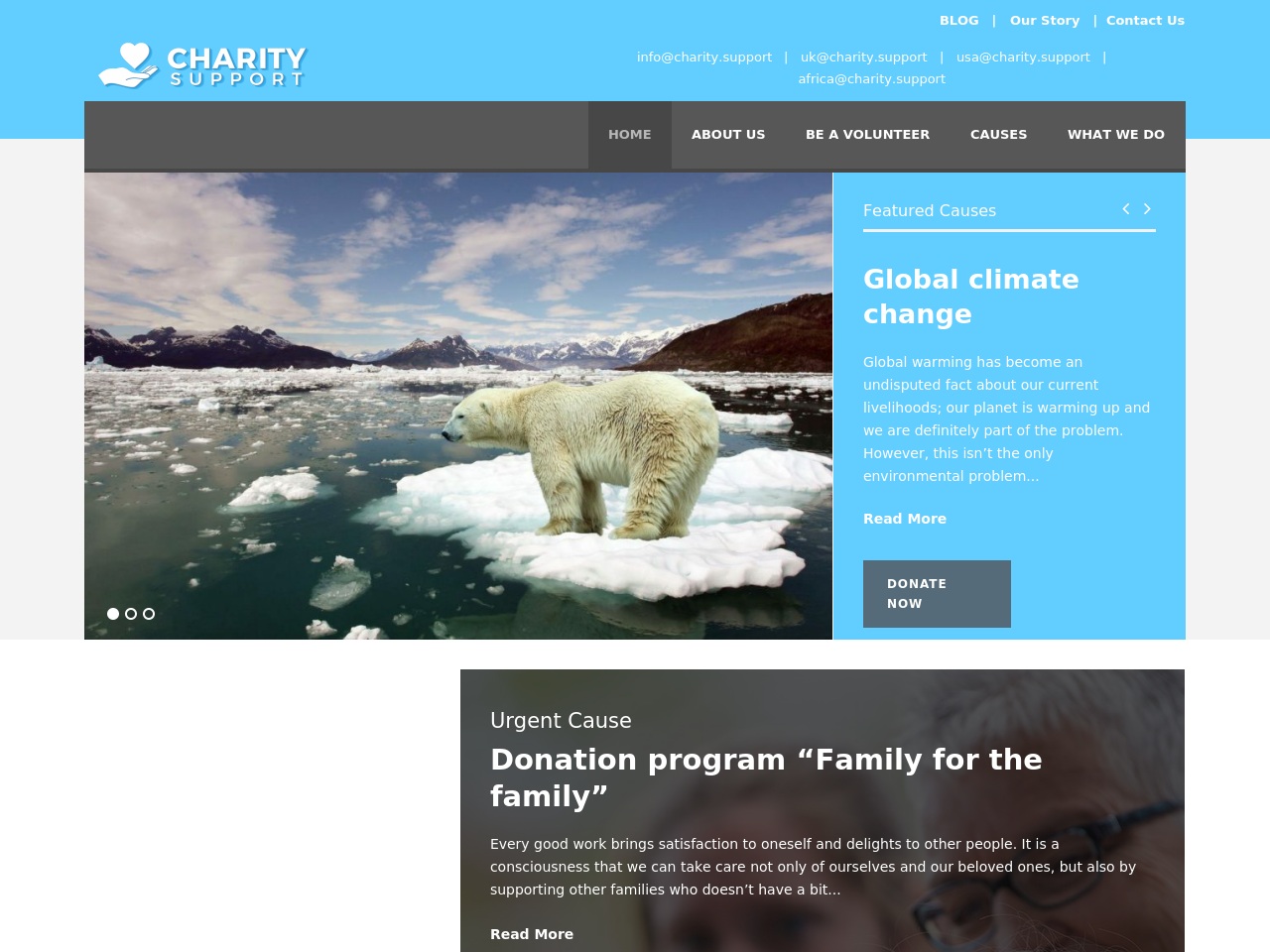 charitysupport.info screenshot alt-text