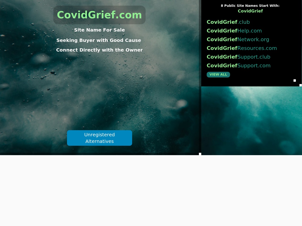 covidgrief.com screenshot alt-text