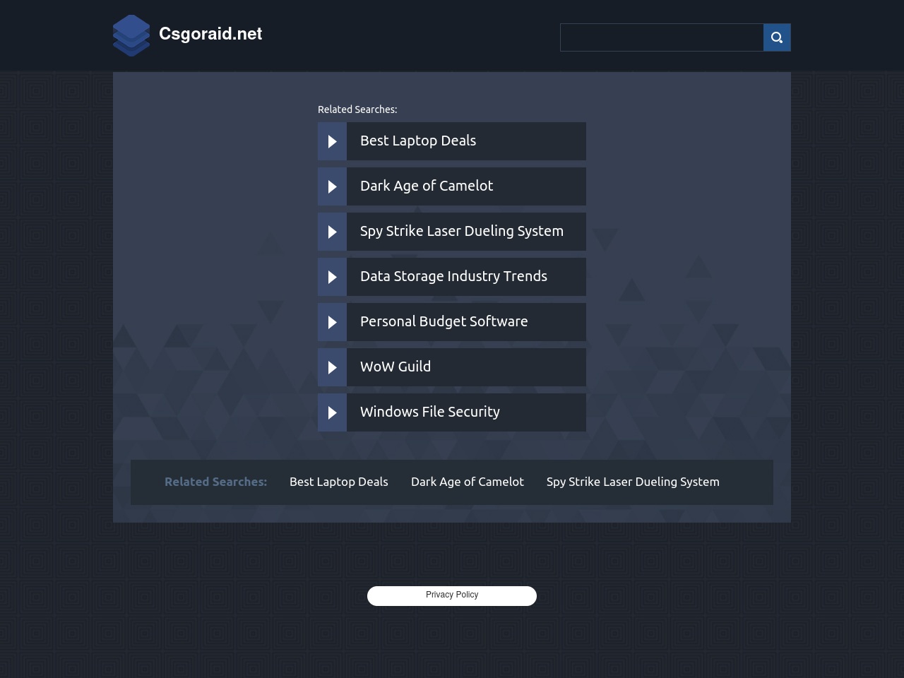 csgoraid.net screenshot alt-text
