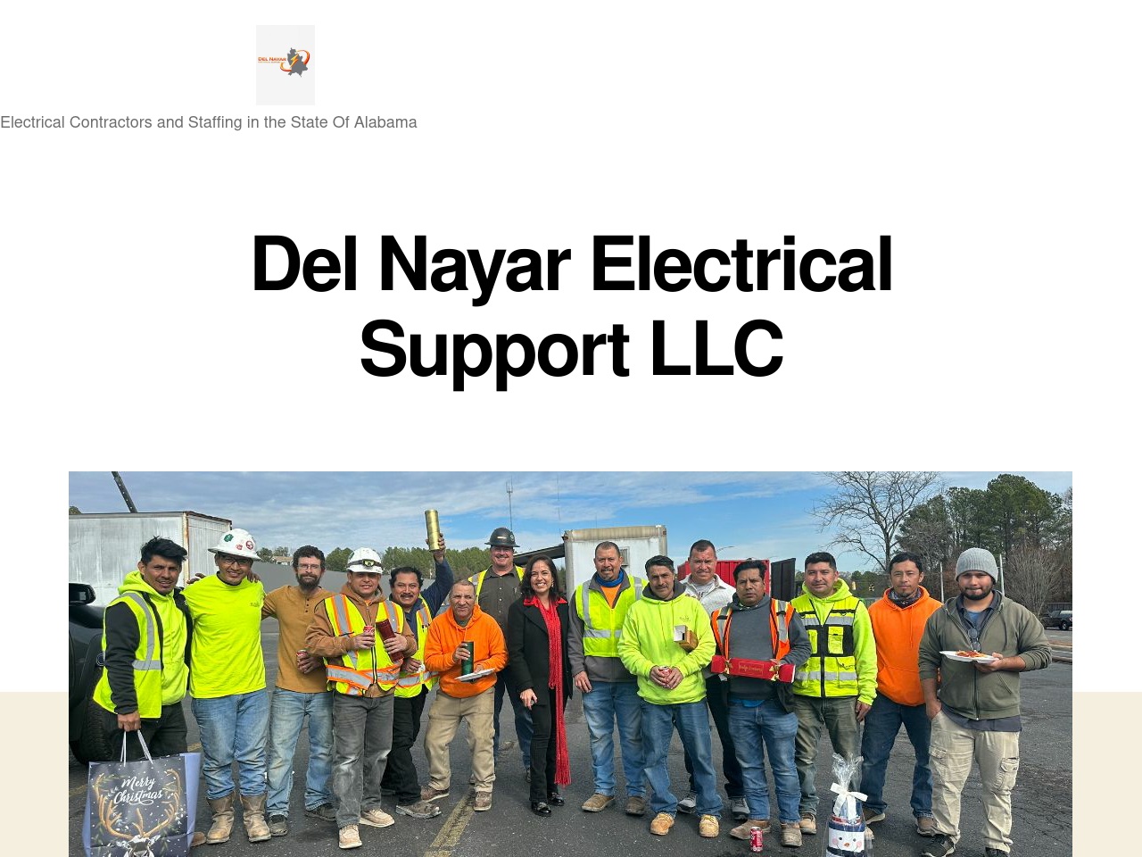 delnayarelectricalsupport.com screenshot alt-text