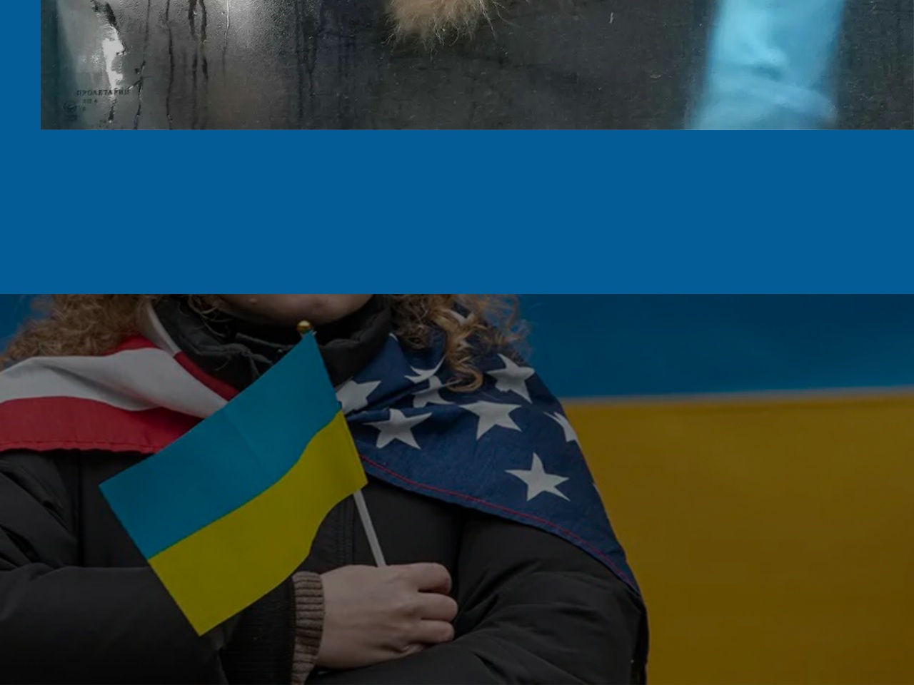donatesupportukraine.com screenshot alt-text