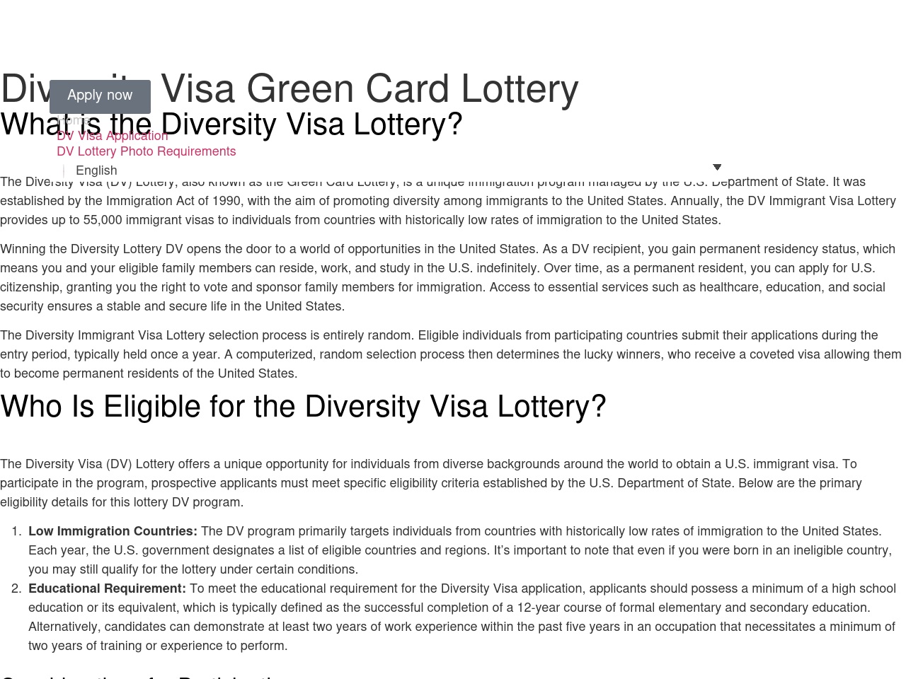 dvvisa.com screenshot alt-text