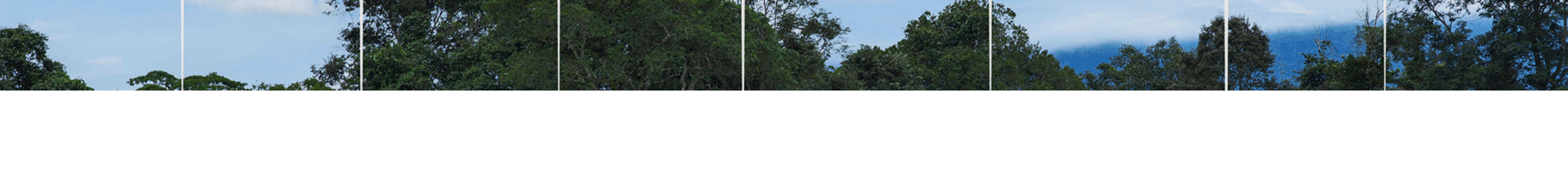 ecoamazonicosrl.com screenshot alt-text