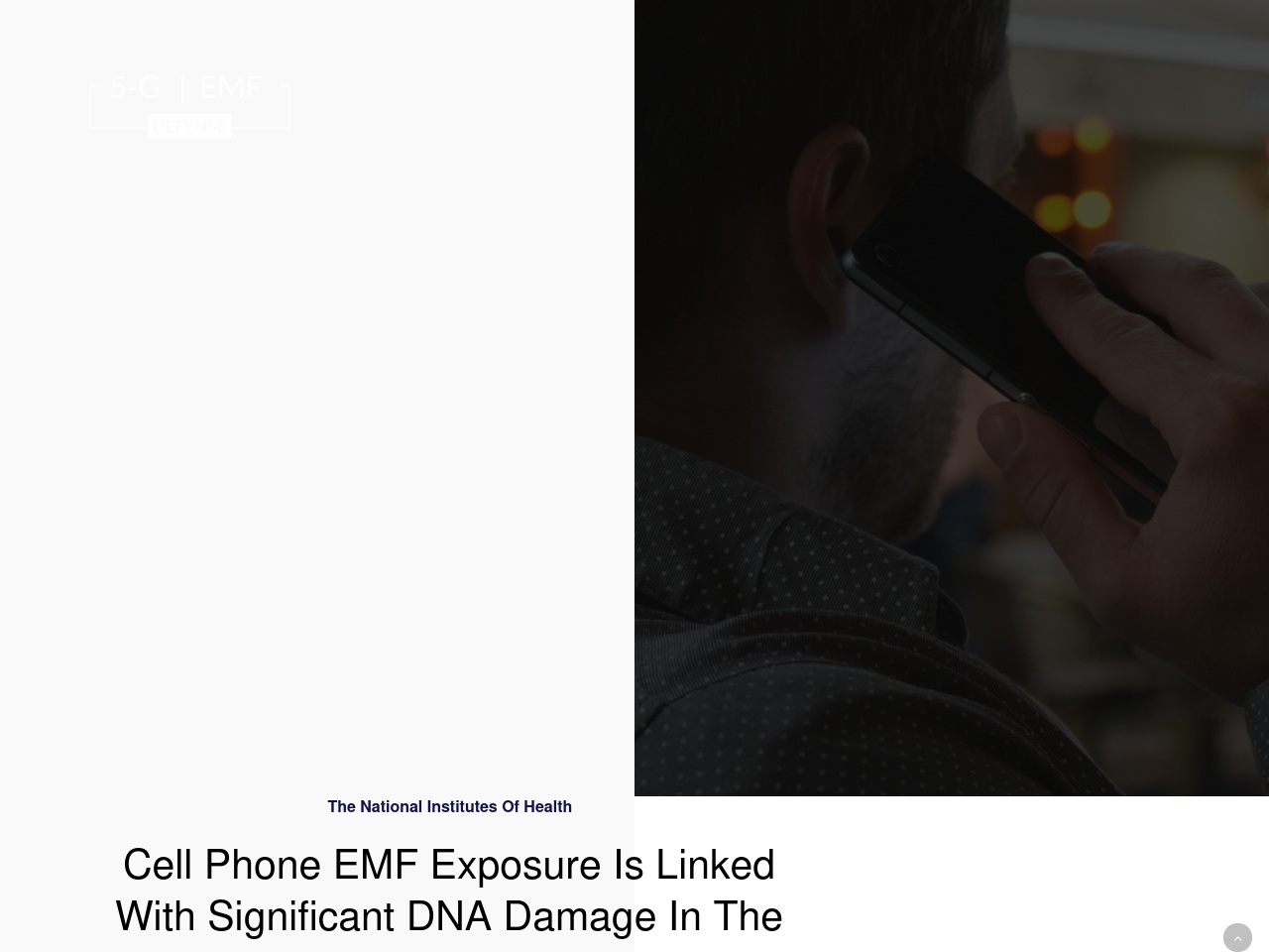 emfsupport.com screenshot alt-text