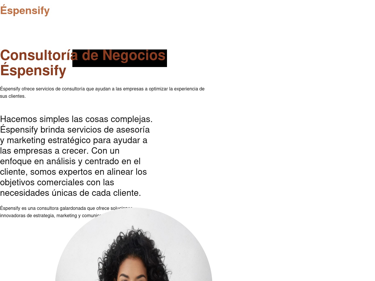 expensiify-login.com screenshot alt-text