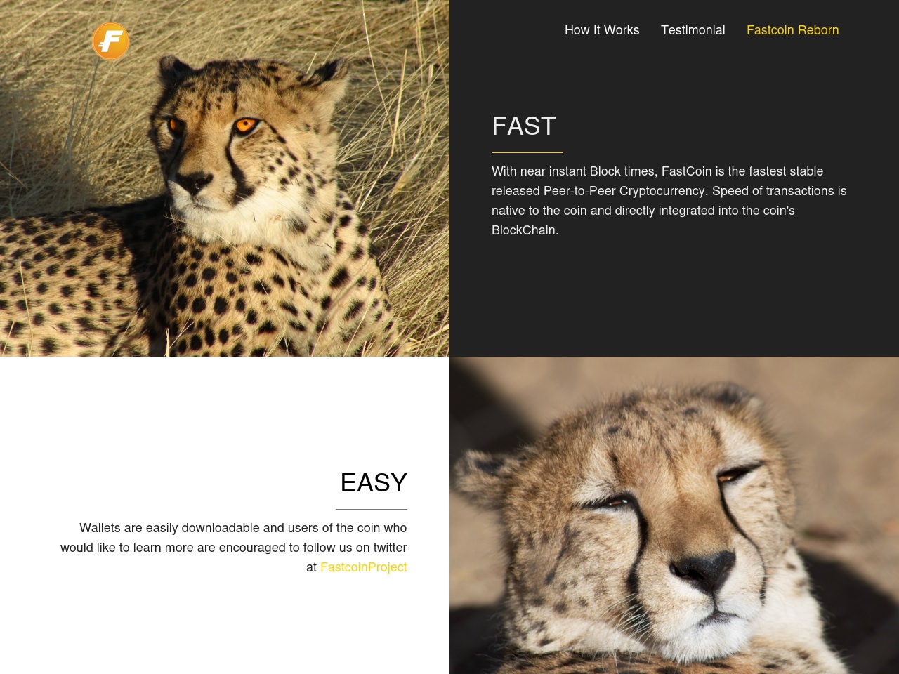 fastcoinwallet.com screenshot alt-text