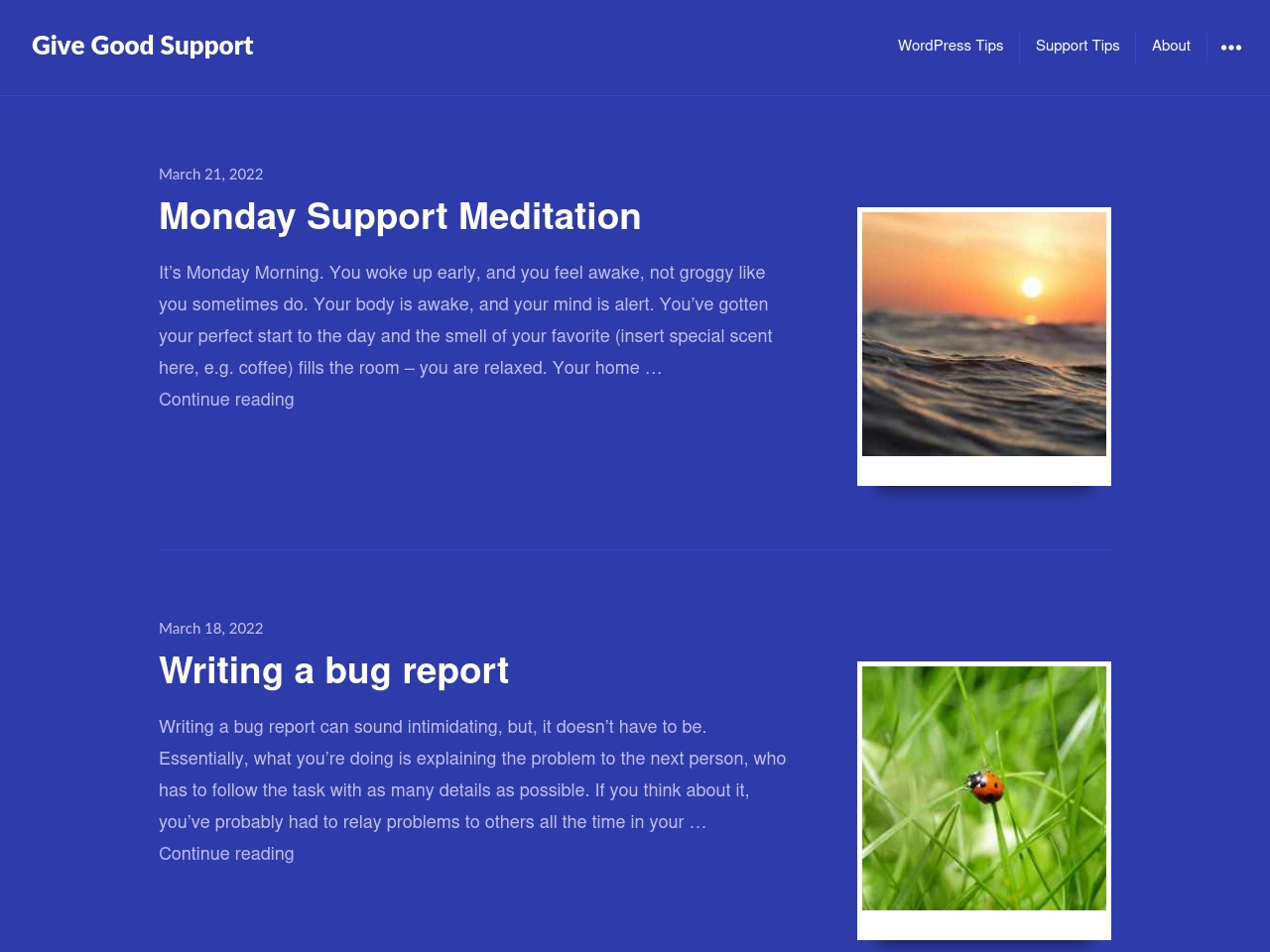 givegoodsupport.com screenshot alt-text
