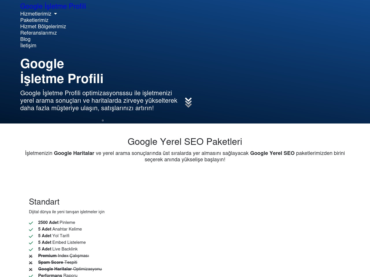 googleisletmeprofili.com screenshot alt-text