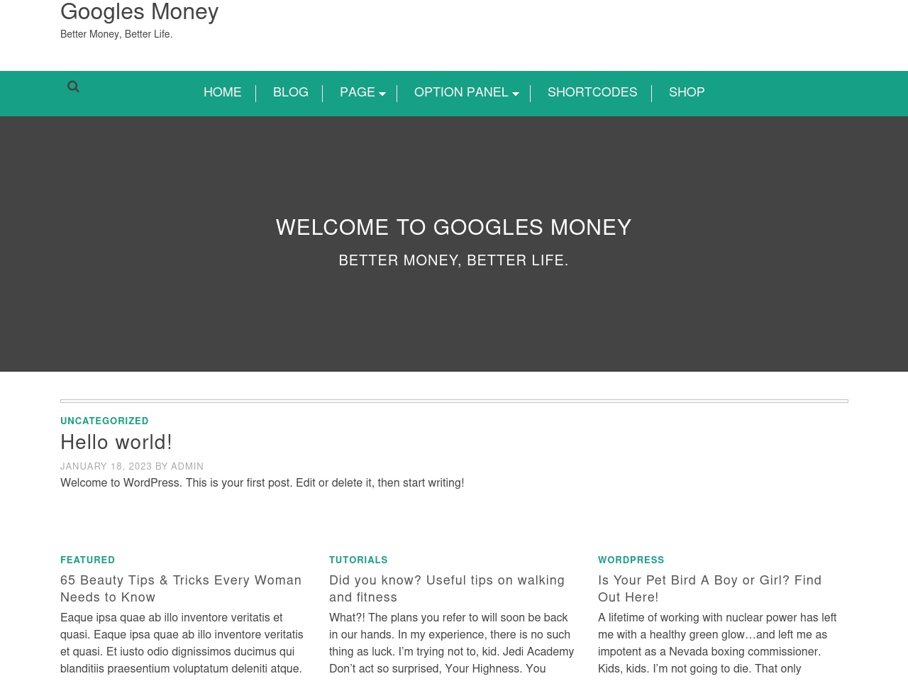 googlesmoney.com screenshot alt-text