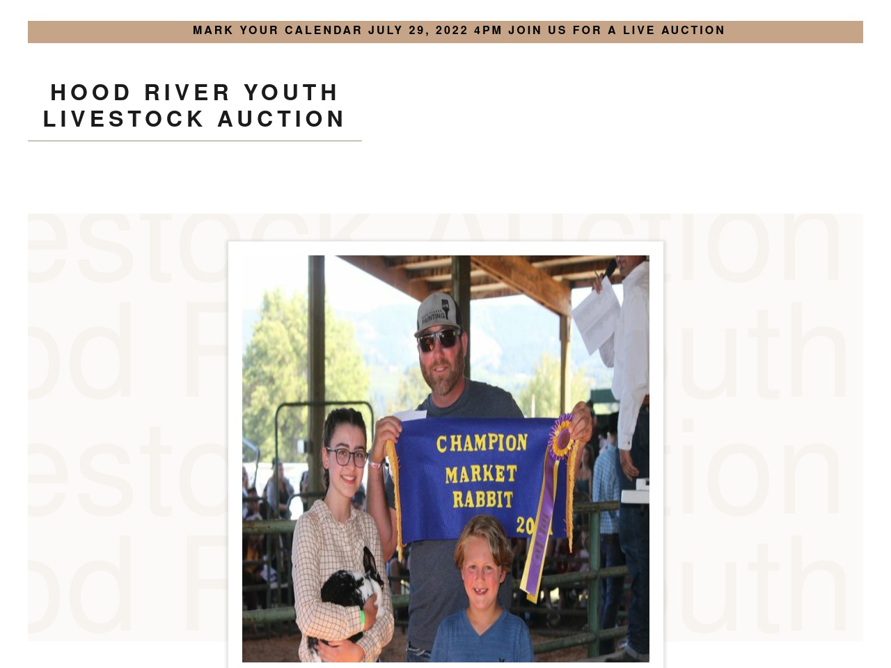 hoodriveryouthlivestockauction.com screenshot alt-text