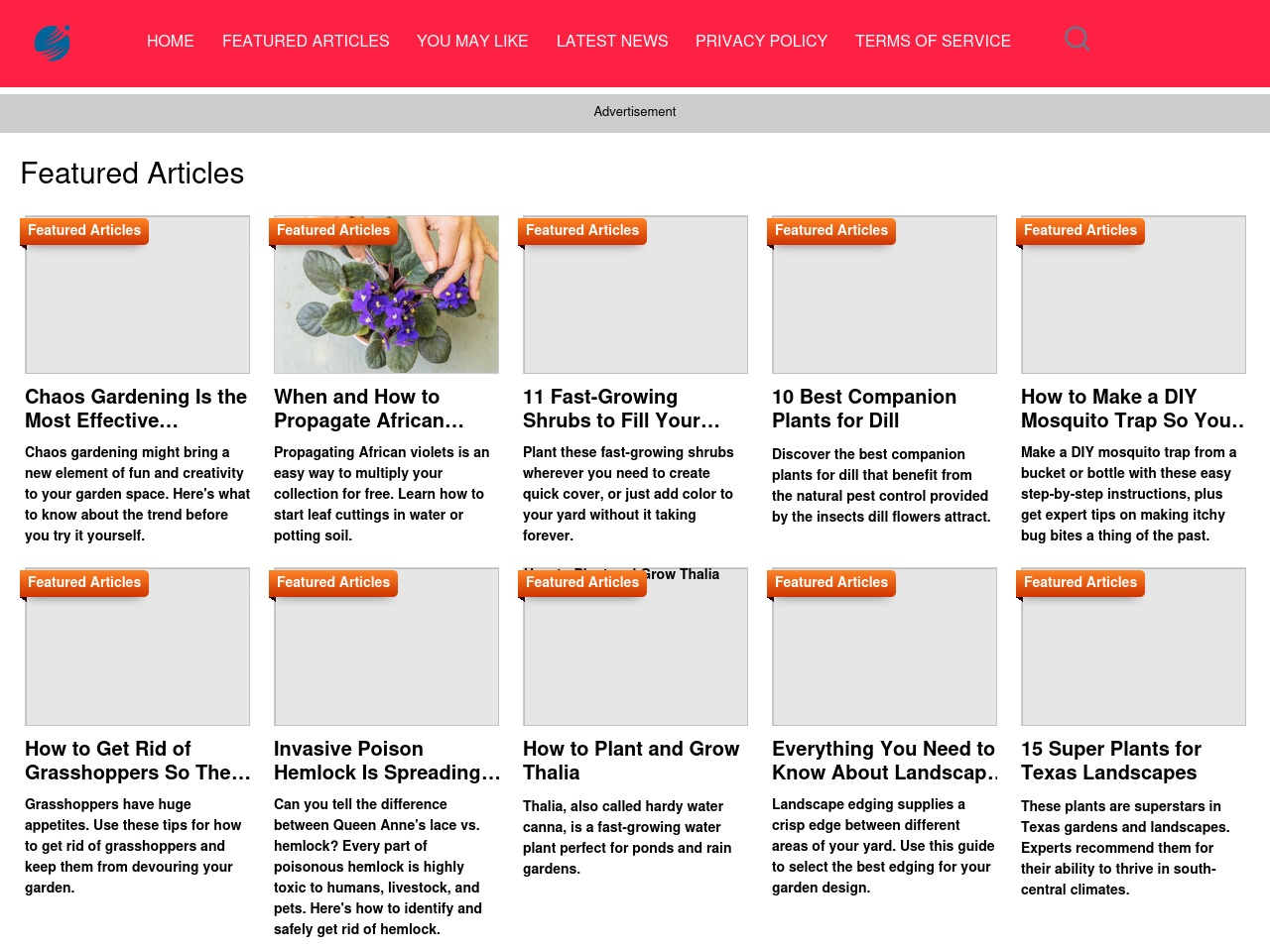 infozoom.net screenshot alt-text