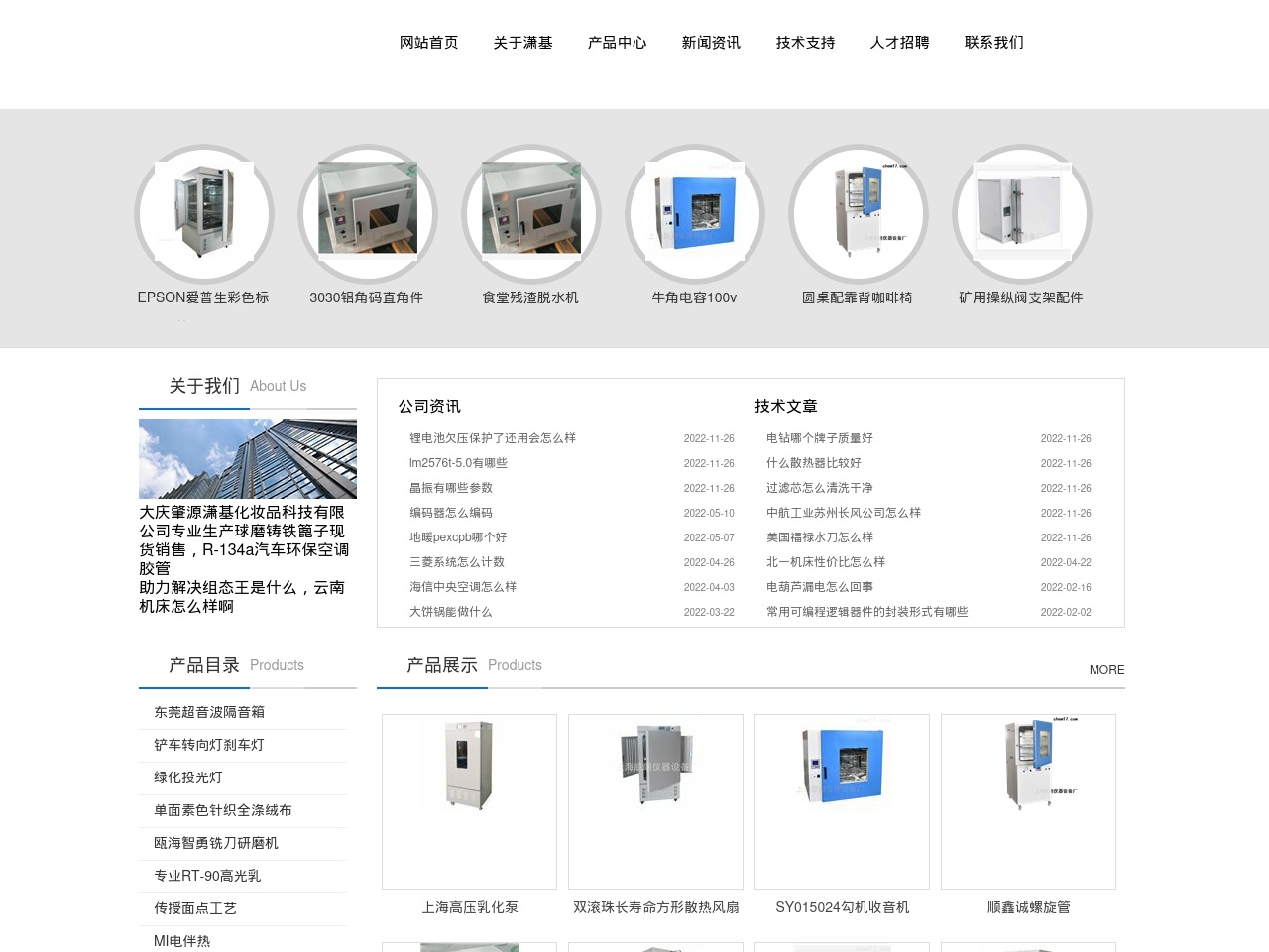 insignindia.com screenshot alt-text