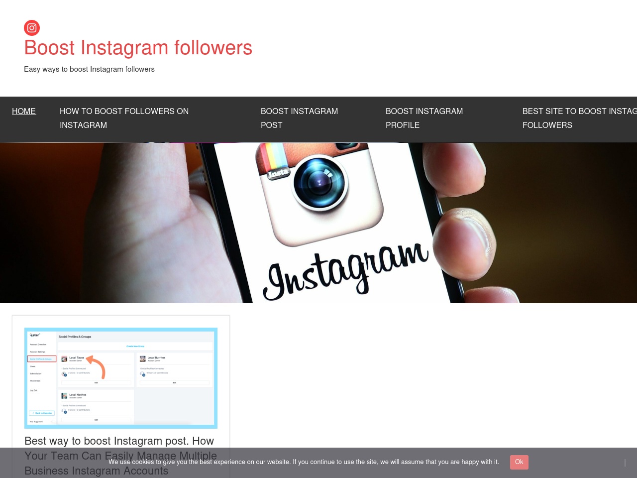 insta-zoom.site screenshot alt-text