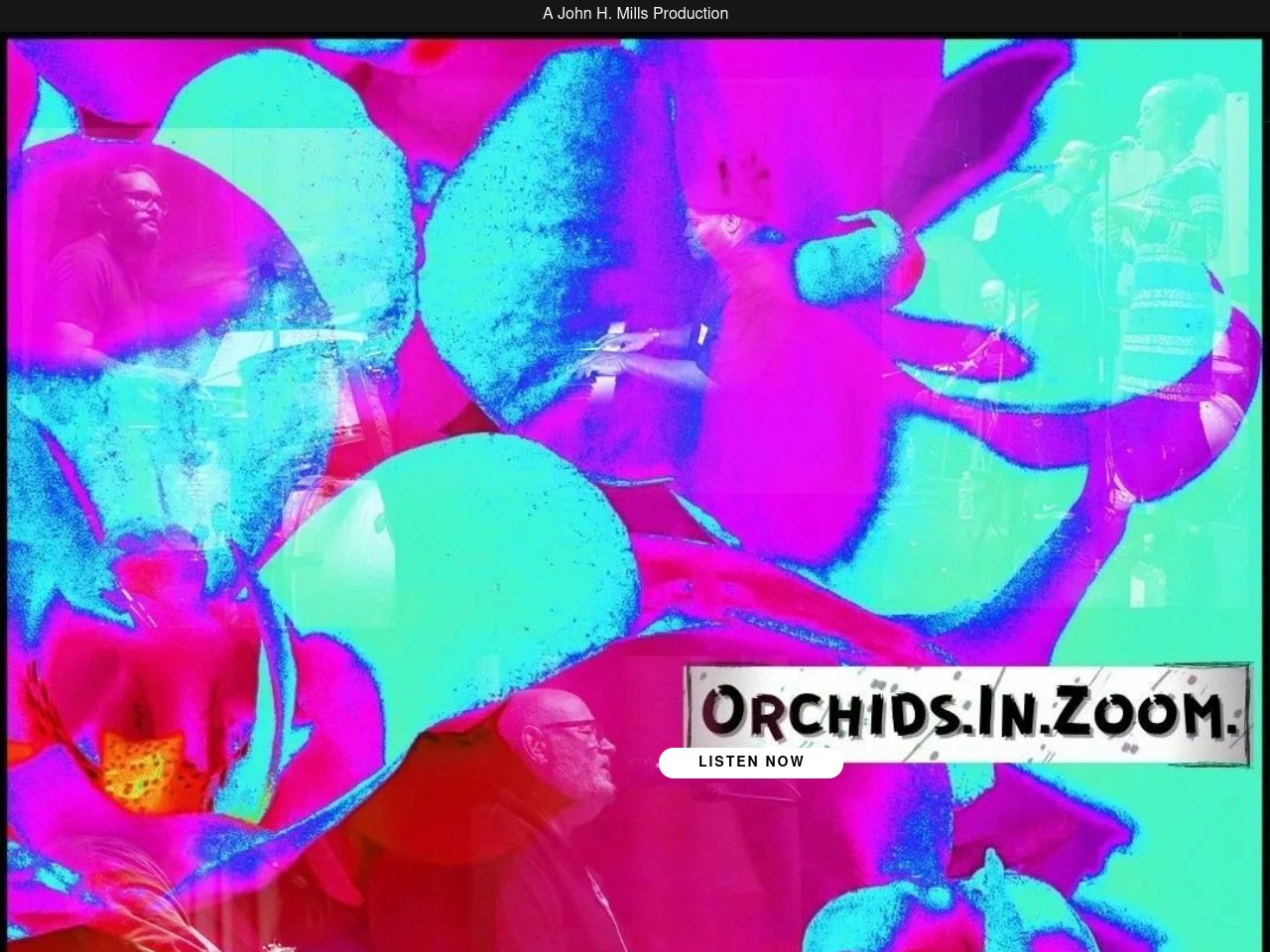 orchidsinzoom.com screenshot alt-text