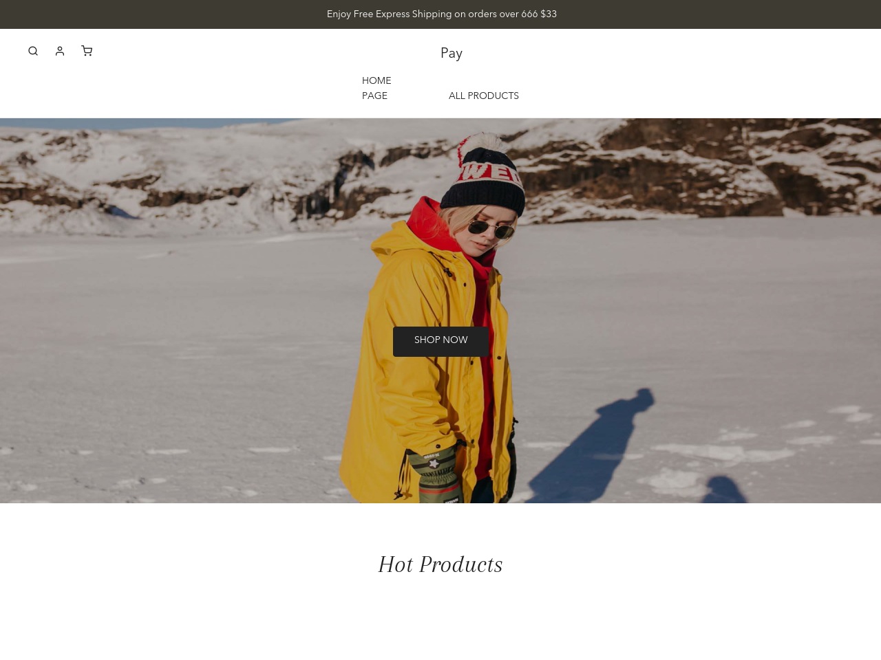 paypla.store screenshot alt-text