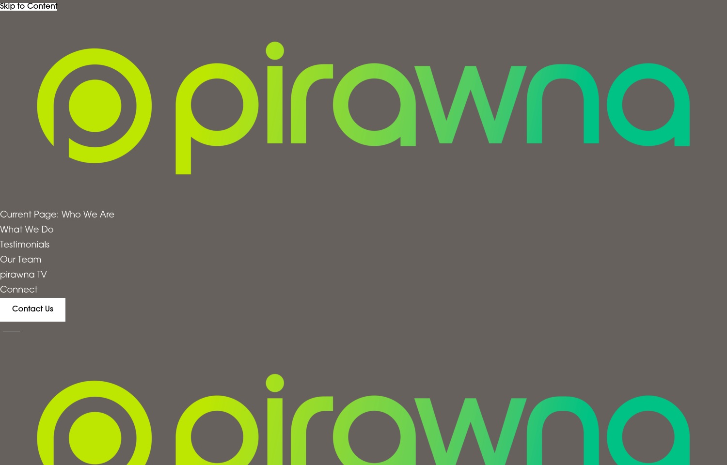 pirawna-amazon.com screenshot alt-text