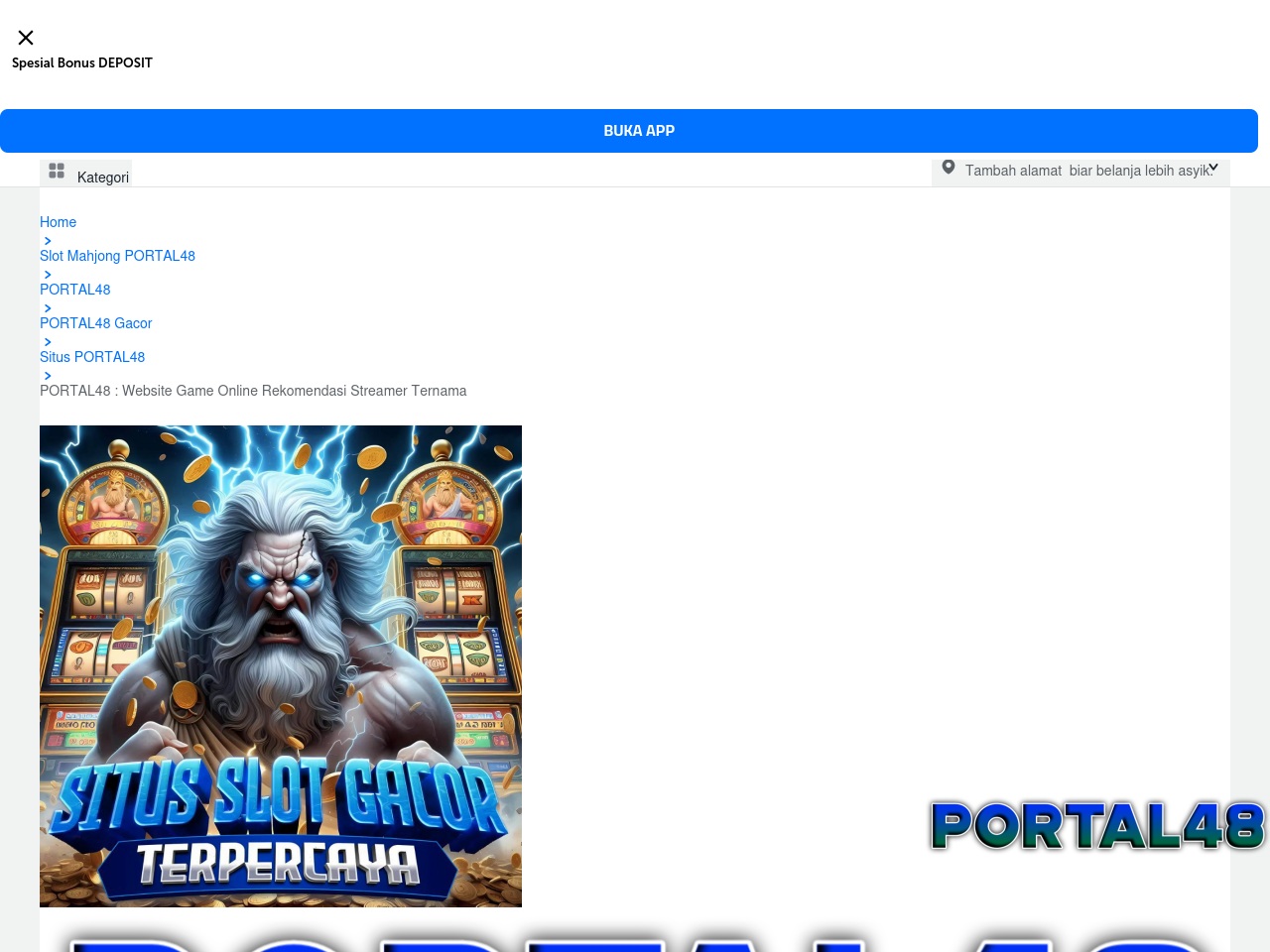 portal48.com screenshot alt-text