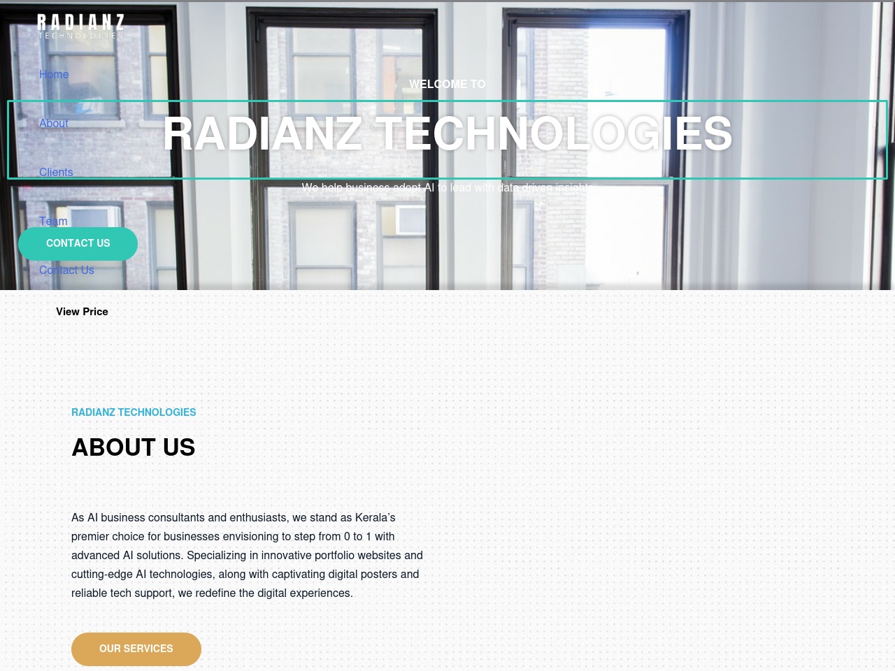 radianztechnologies.com screenshot alt-text