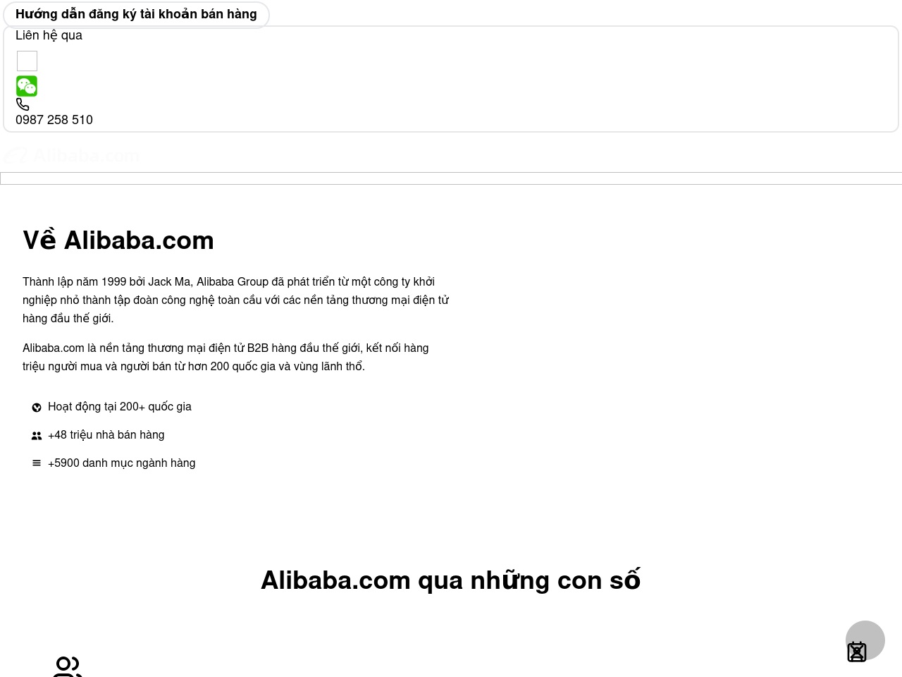 sellonalibaba.com screenshot alt-text