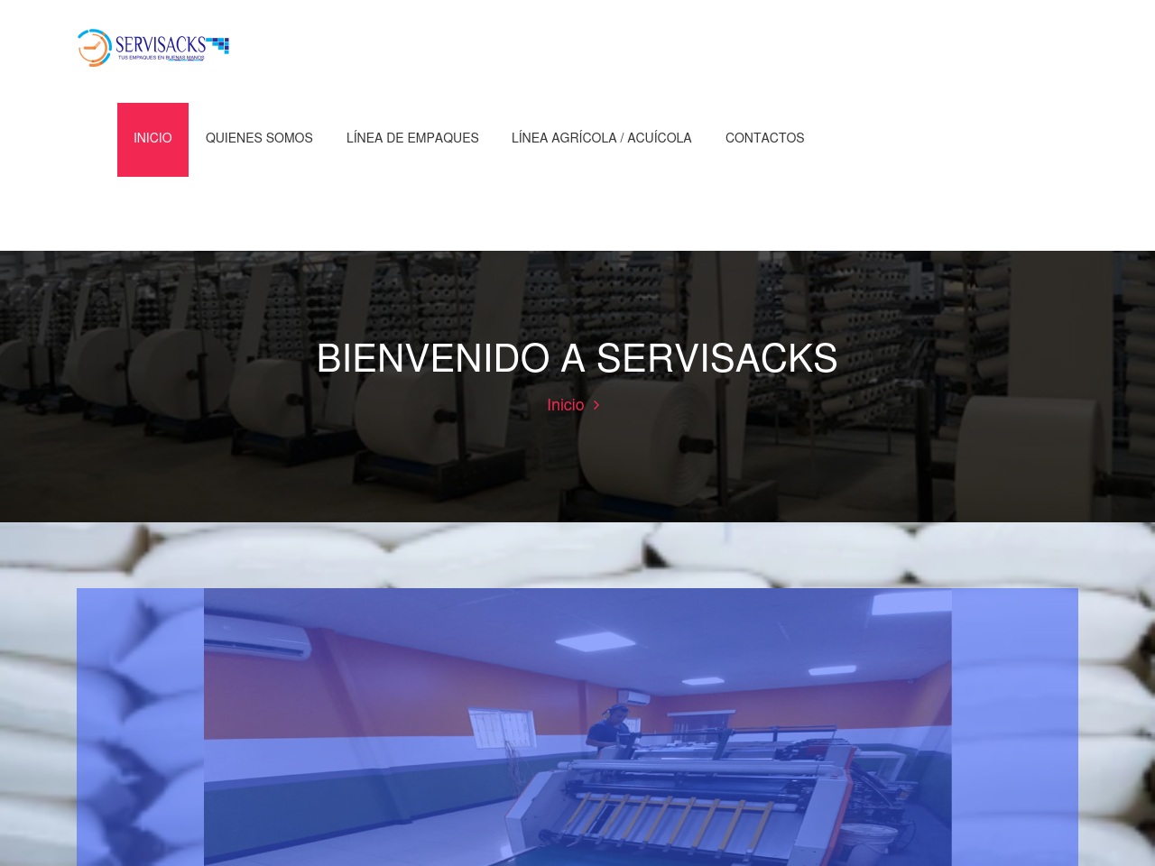 servisacks.com screenshot alt-text