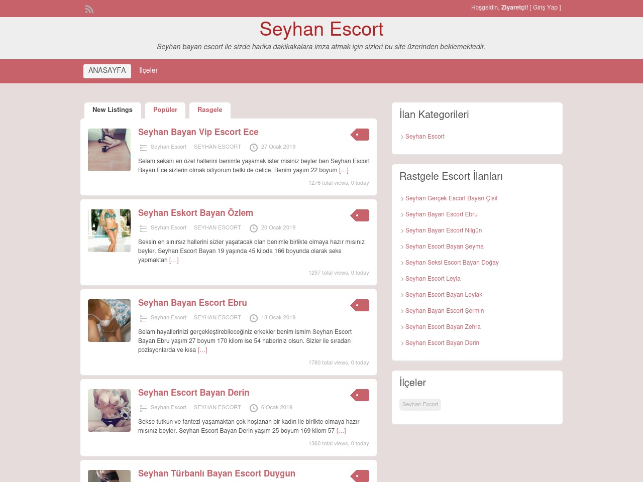 seyhanotomatiksanzimanservisi.com screenshot alt-text
