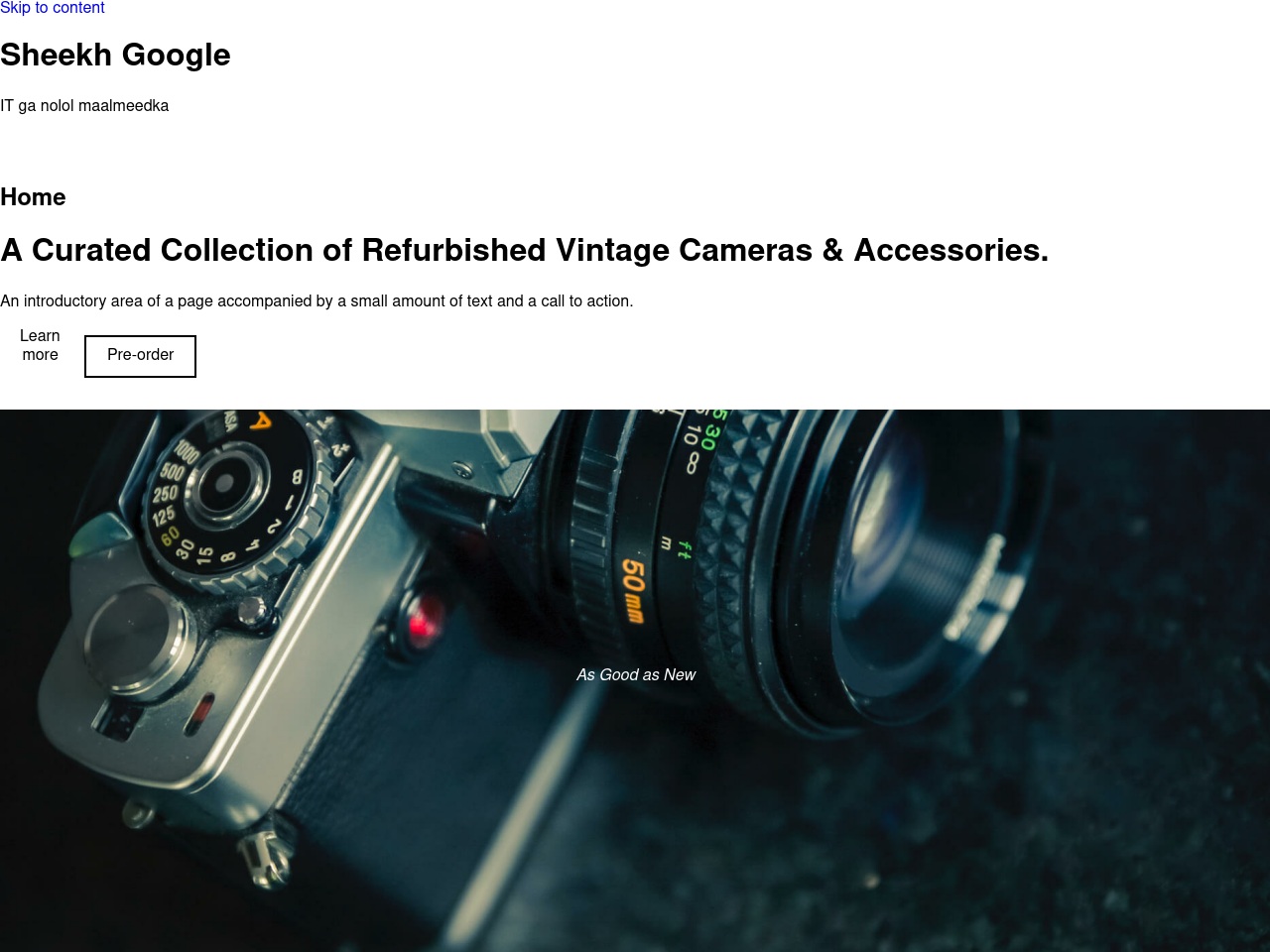 sheekhgoogle.com screenshot alt-text