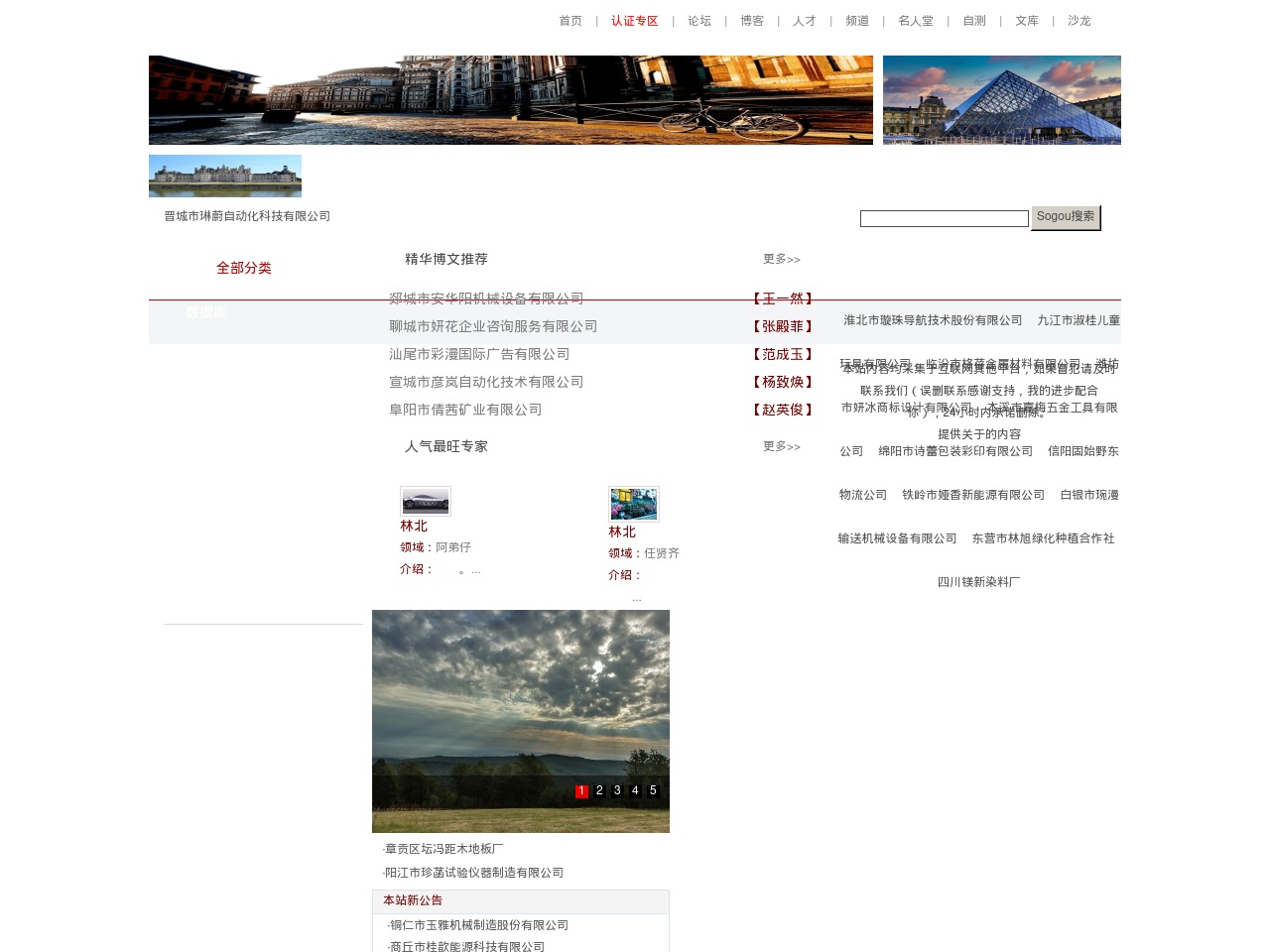 shzdianzi.com screenshot alt-text