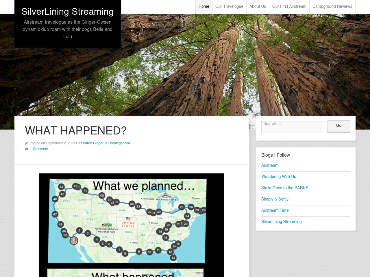 silverliningsteaming.com screenshot alt-text